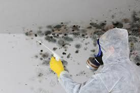 Best Mold Remediation for Healthcare Facilities in Glenmont, MD